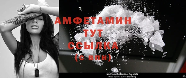 прущие грибы Волосово