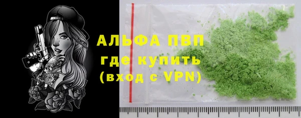 прущие грибы Волосово