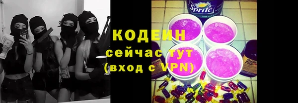 шишки Козельск