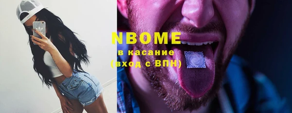 гашик Инсар