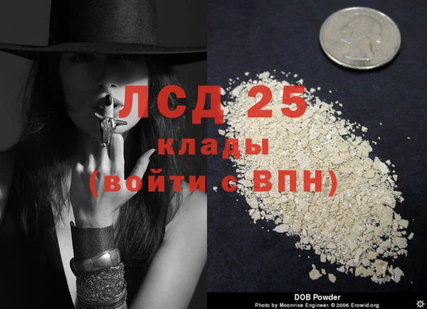 мескалин Касимов