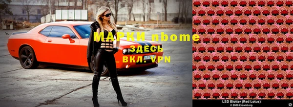 индика Волоколамск