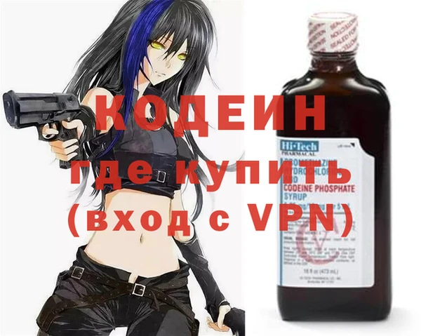 индика Волоколамск
