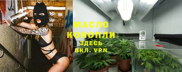 индика Волоколамск