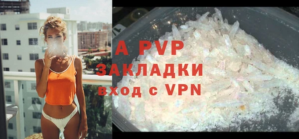 индика Волоколамск