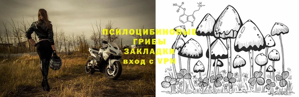 mdpv Бугульма