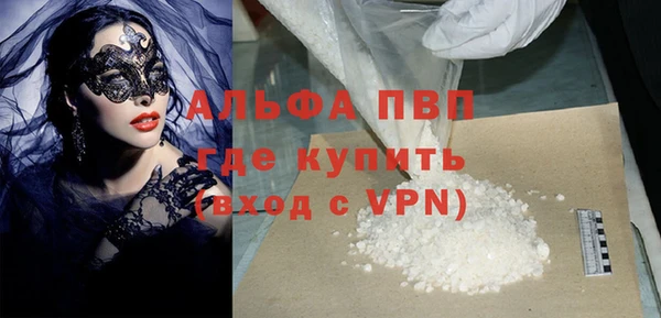 прущие грибы Волосово