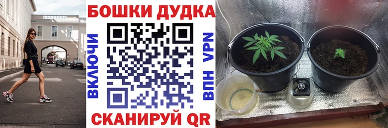 Канабис Amnesia  Видное 